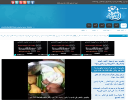 صحيفة عين السعودية