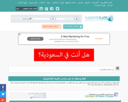 القرية الالكترونية